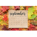 SEPTEMBER