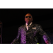 Wanz