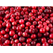 CRANBERRIES
