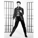 ELVIS
