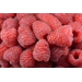 RASPBERRIES