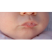 Saliva