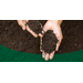 Soil